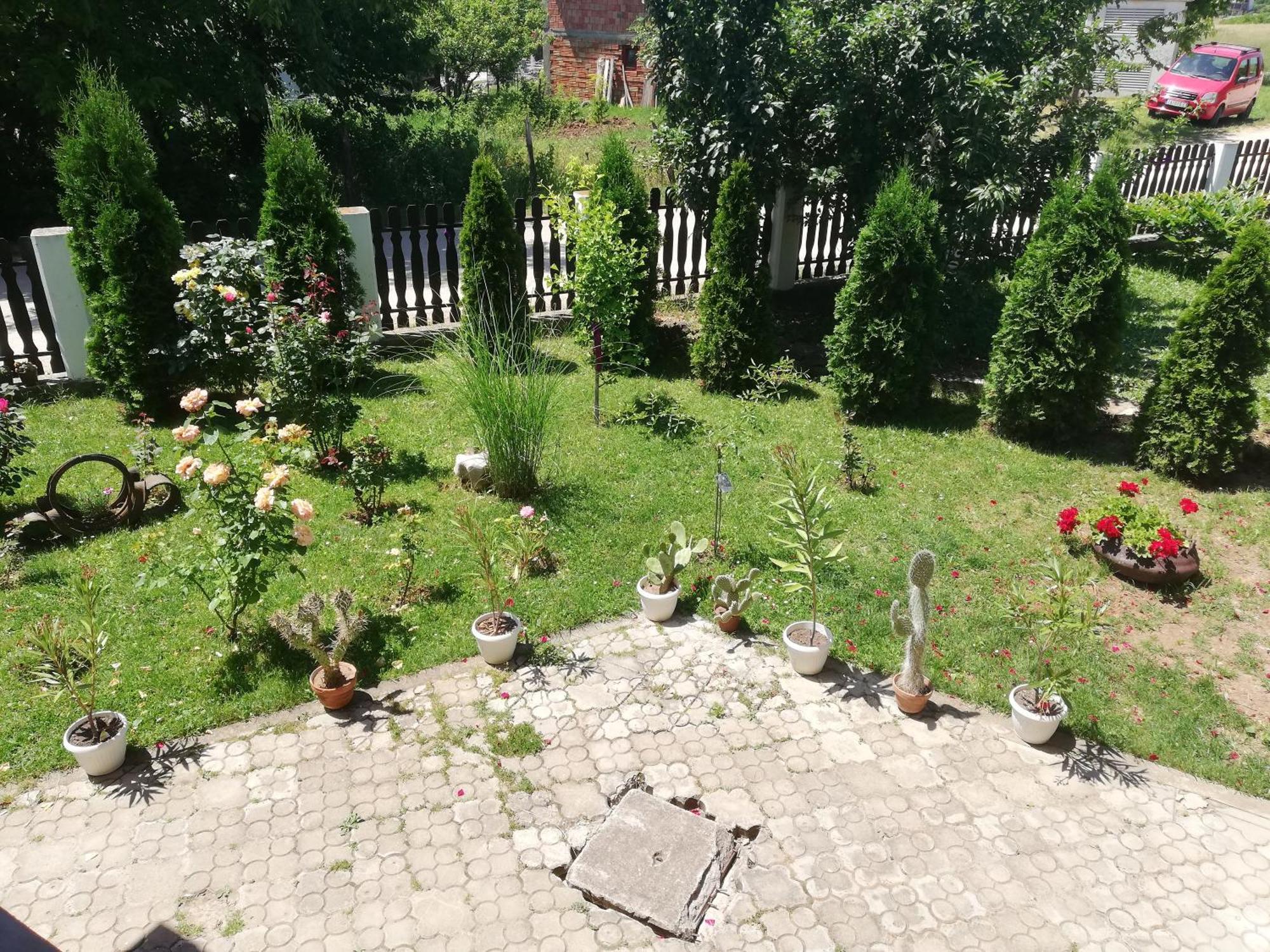 Apartmani Tvins Sokobanja Exterior foto